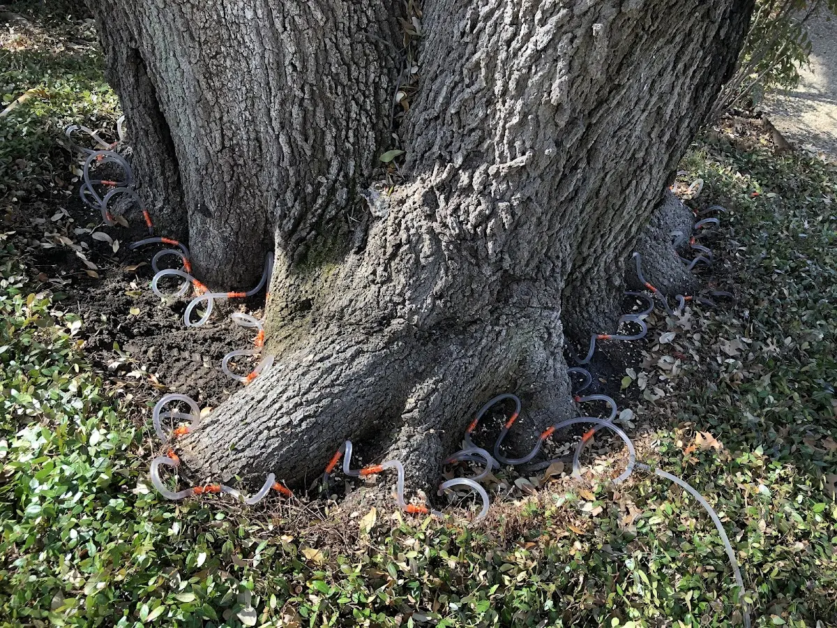 Detailed Shrub and Hedge Trimming job site in Roundhill